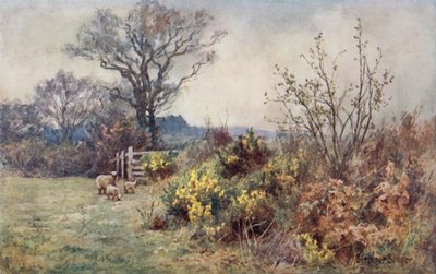 The Field and the Fold by Ernest Benger or Berenger
